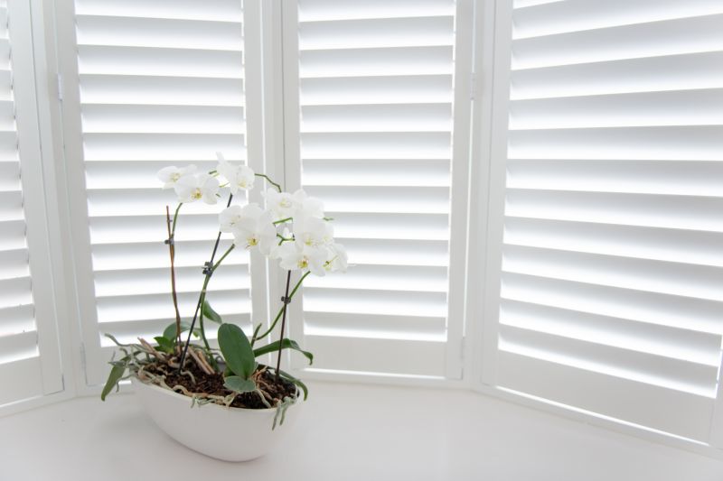 Shutters Installation in Kansas City, MO