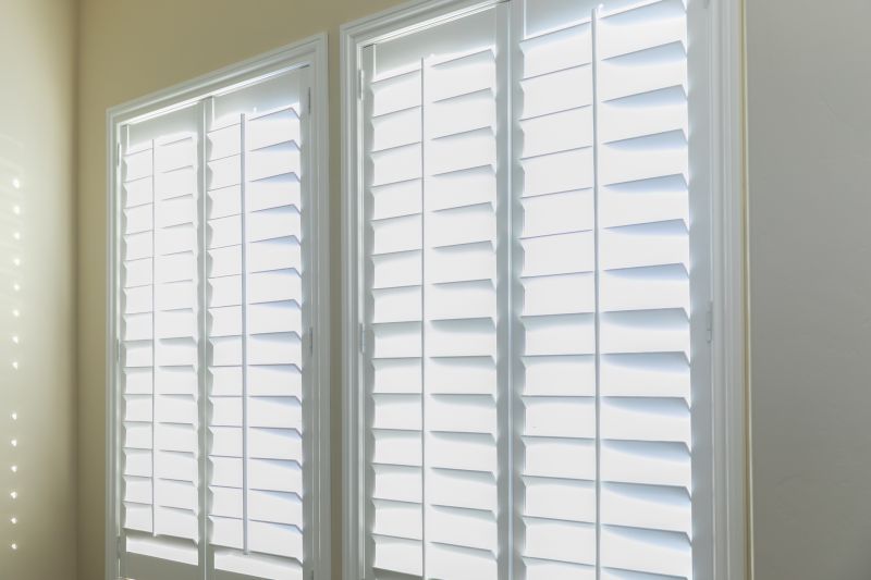 Window Shutters Repair in Denver County, CO